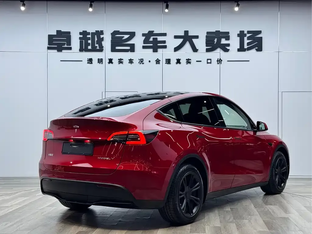 Tesla Model Y — фото 9
