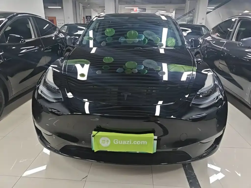 Tesla Model Y — фото 6