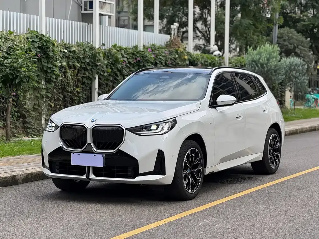 BMW X3 — фото 1