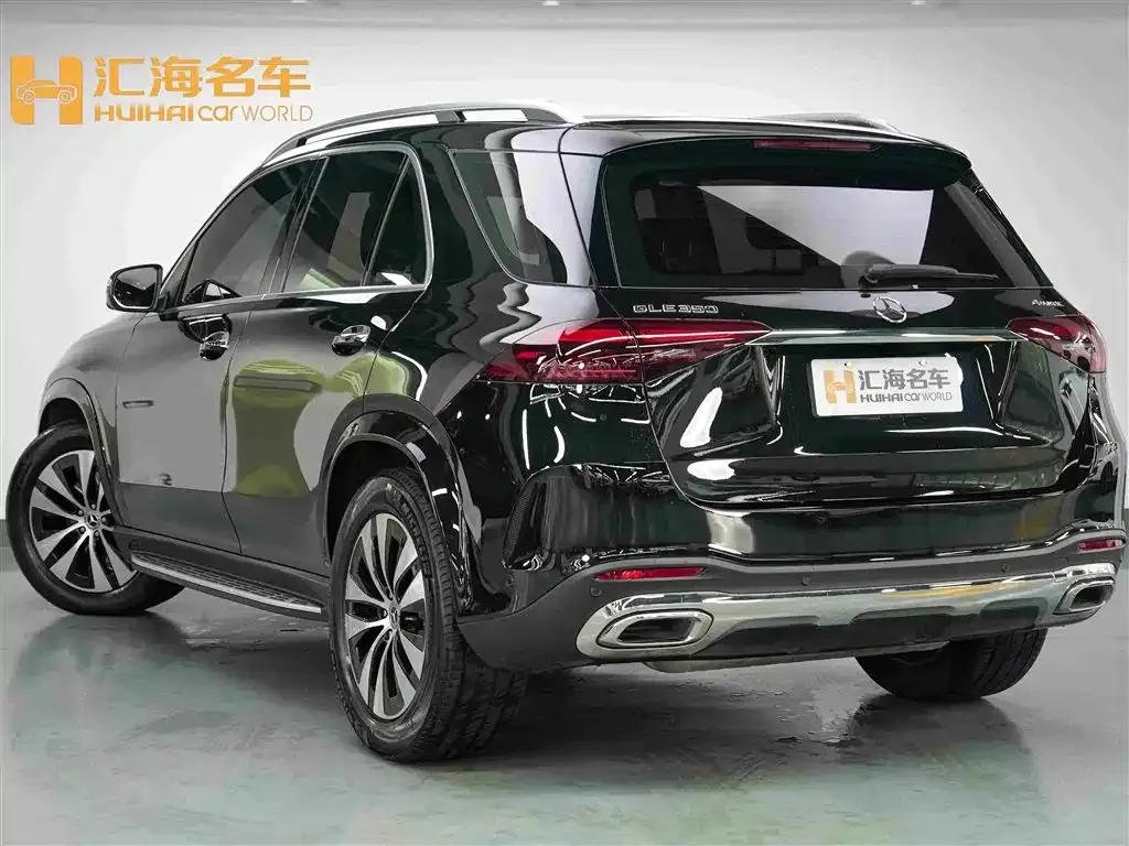 Mercedes-Benz 奔驰GLE(进口) — фото 8