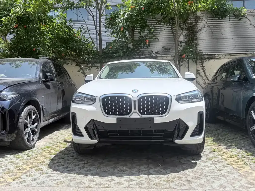 BMW X4 — фото 9