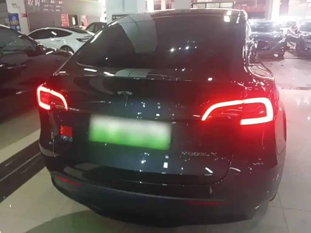 Tesla Model Y — фото 2