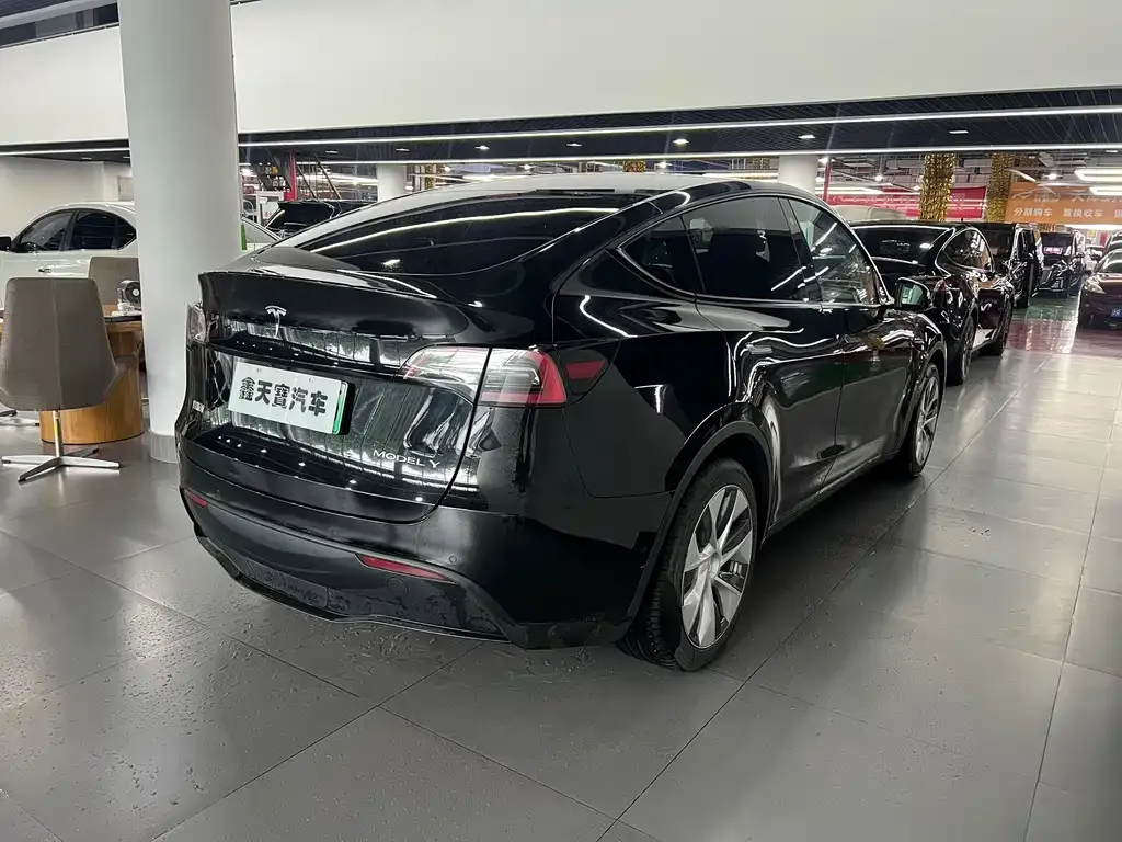 Tesla Model Y — фото 9