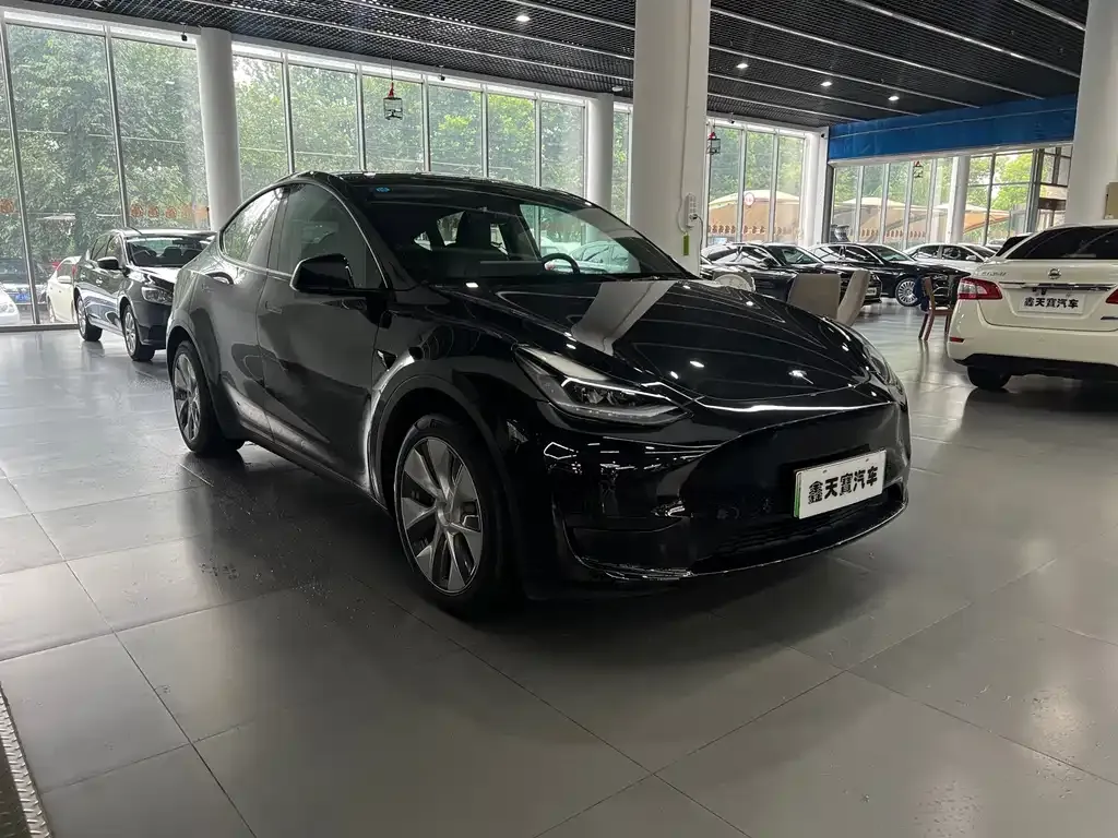 Tesla Model Y — фото 8