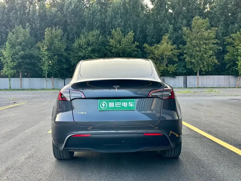 Tesla Model Y — фото 10