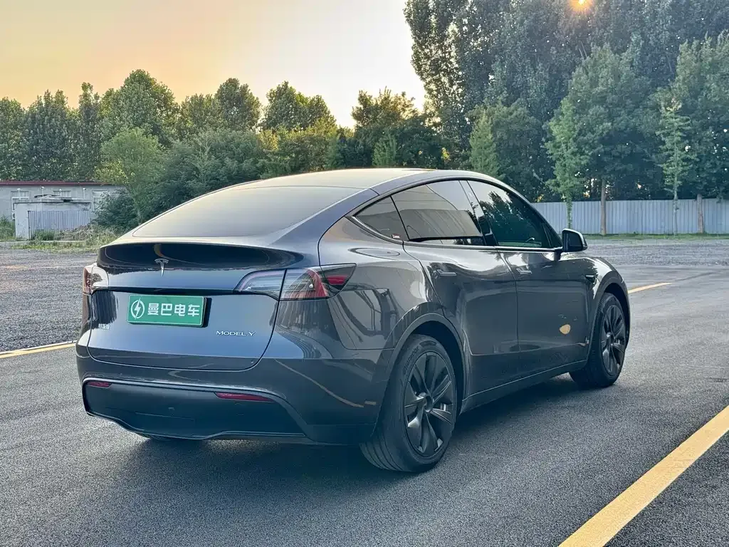 Tesla Model Y — фото 8