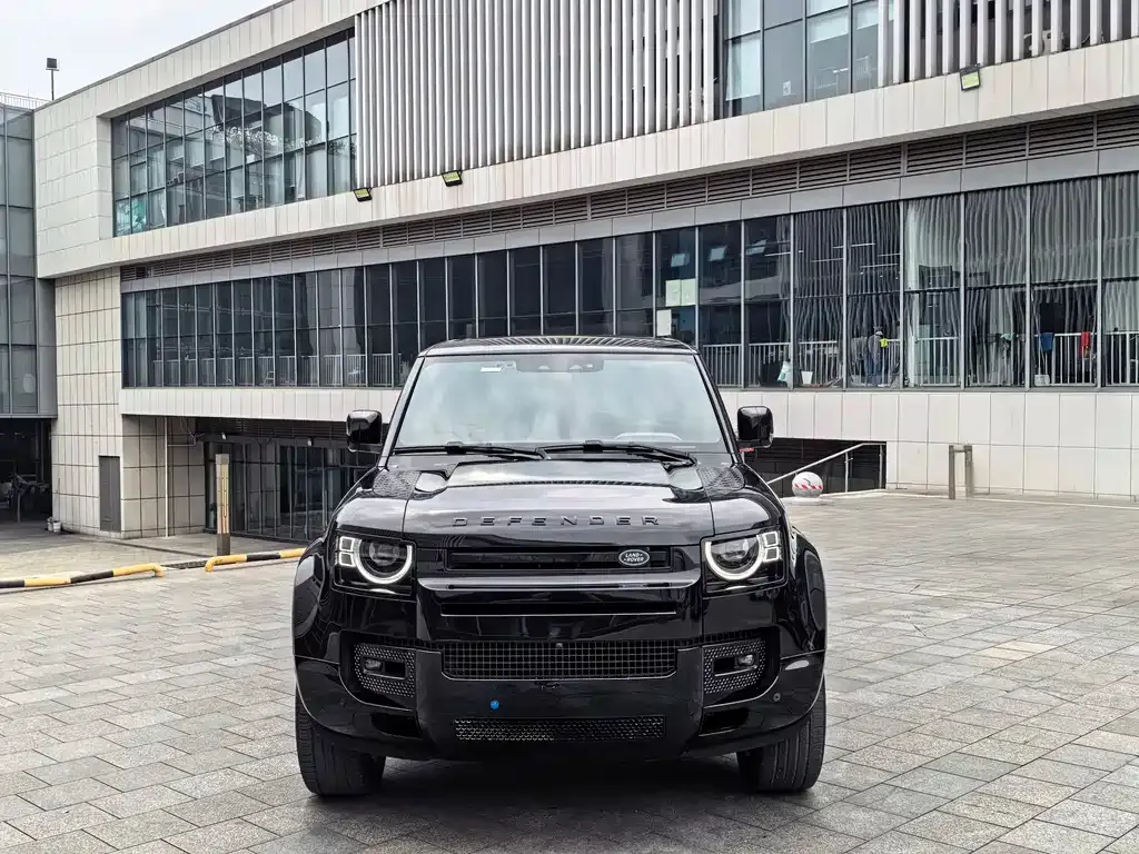 Land Rover Defender — фото 8