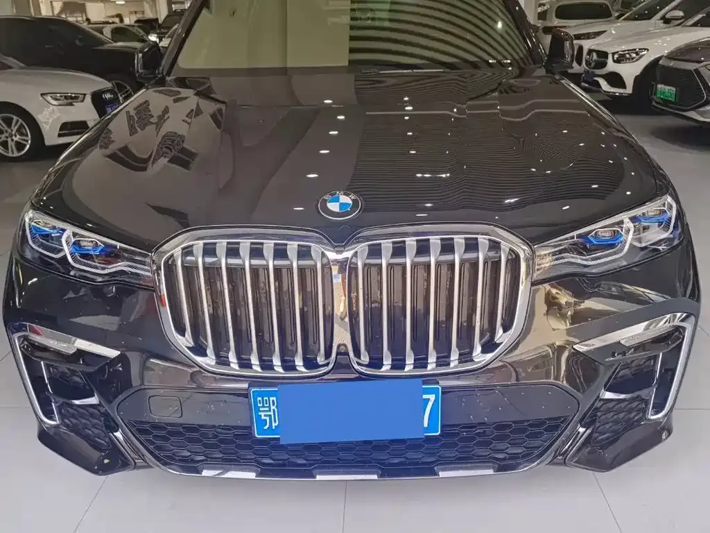 BMW X7 — фото 4