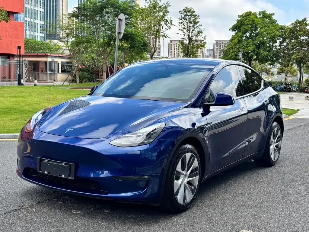 Tesla Model Y — фото 1