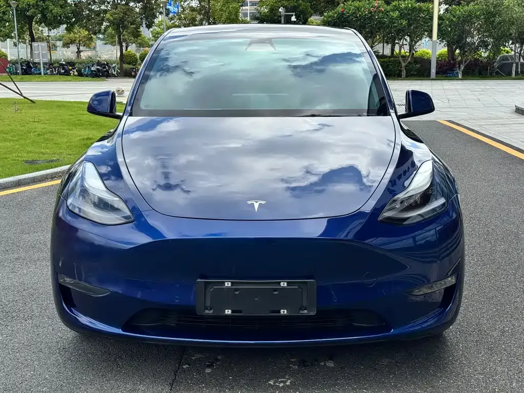 Tesla Model Y — фото 6