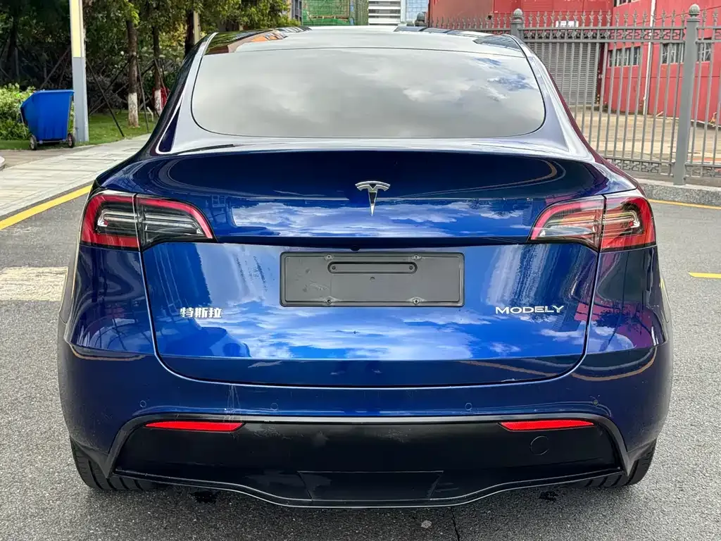 Tesla Model Y — фото 8