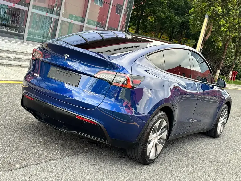 Tesla Model Y — фото 5