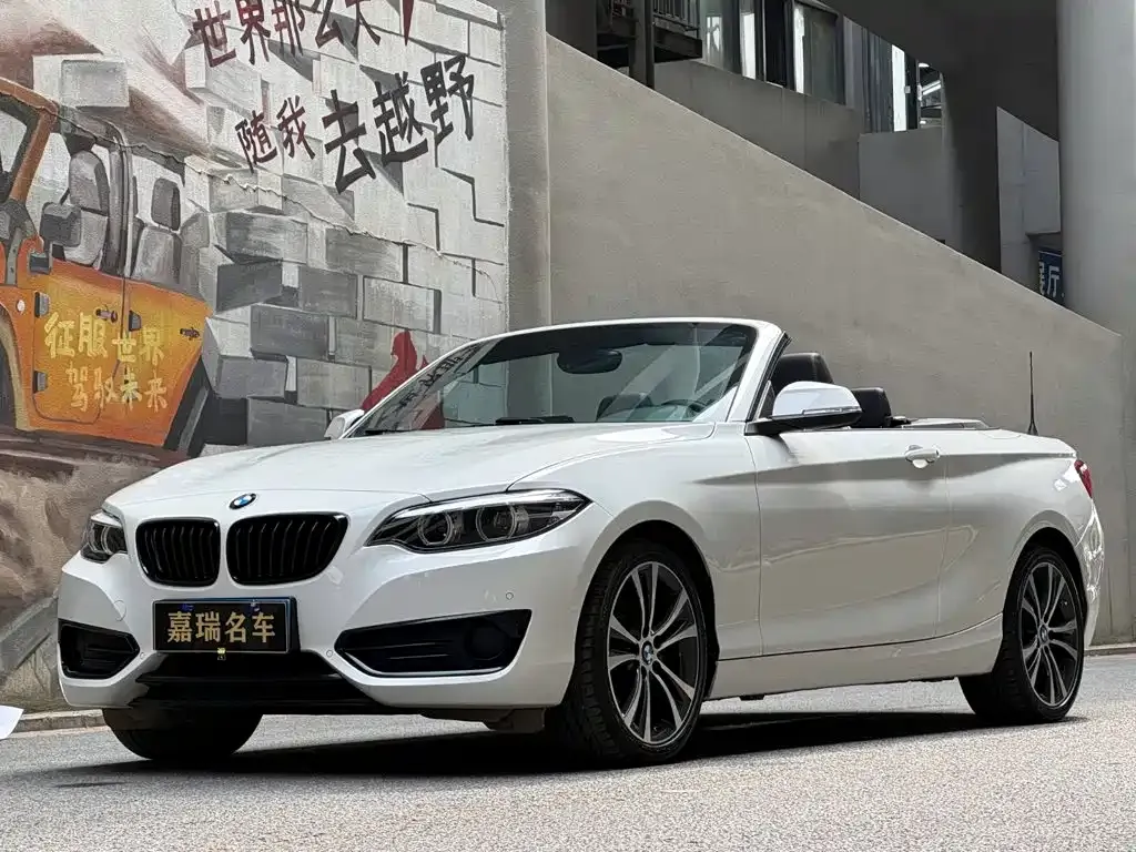 BMW 2 Series (Import) — фото 1