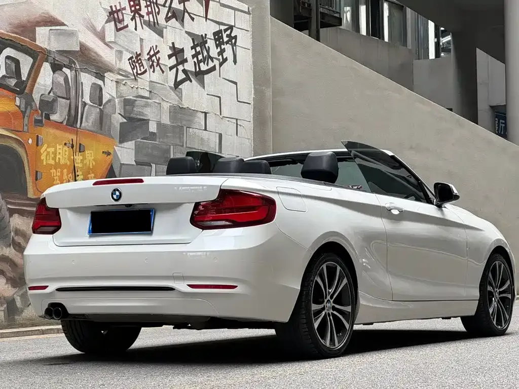 BMW 2 Series (Import) — фото 6