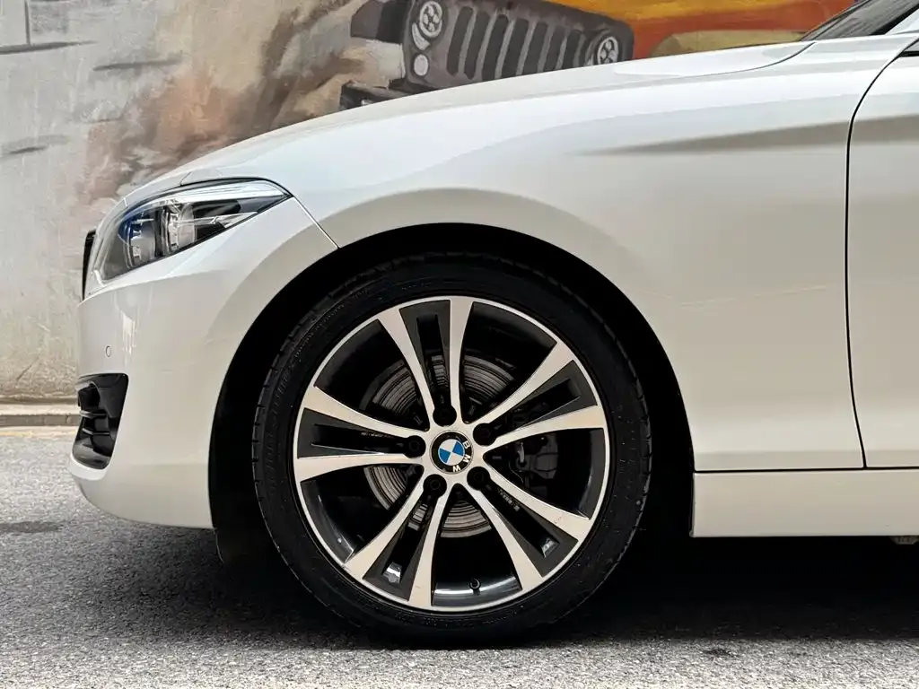 BMW 2 Series (Import) — фото 3