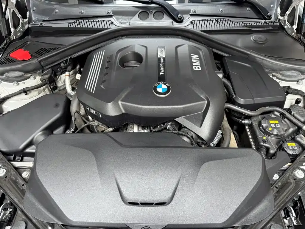 BMW 2 Series (Import) — фото 9