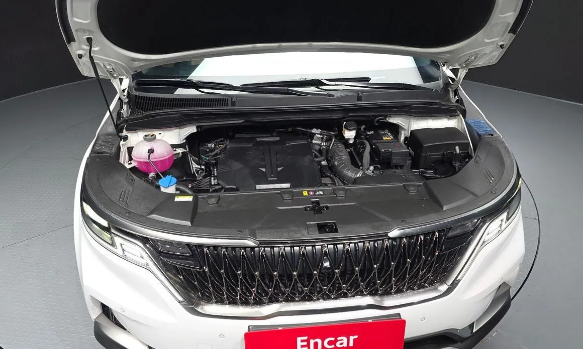 Kia Carnival — фото 10