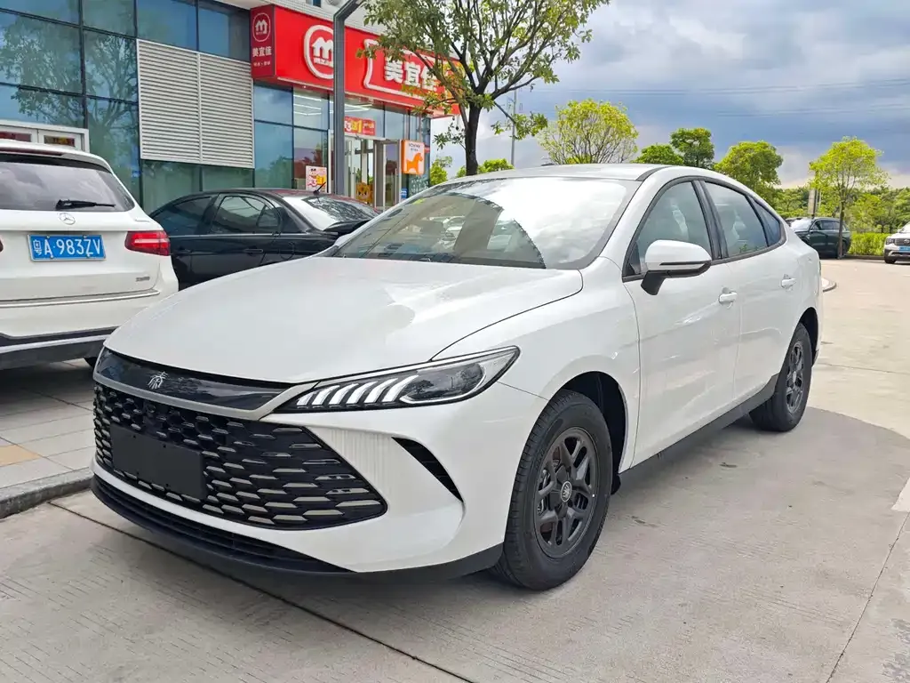 BYD Qin PLUS — фото 1