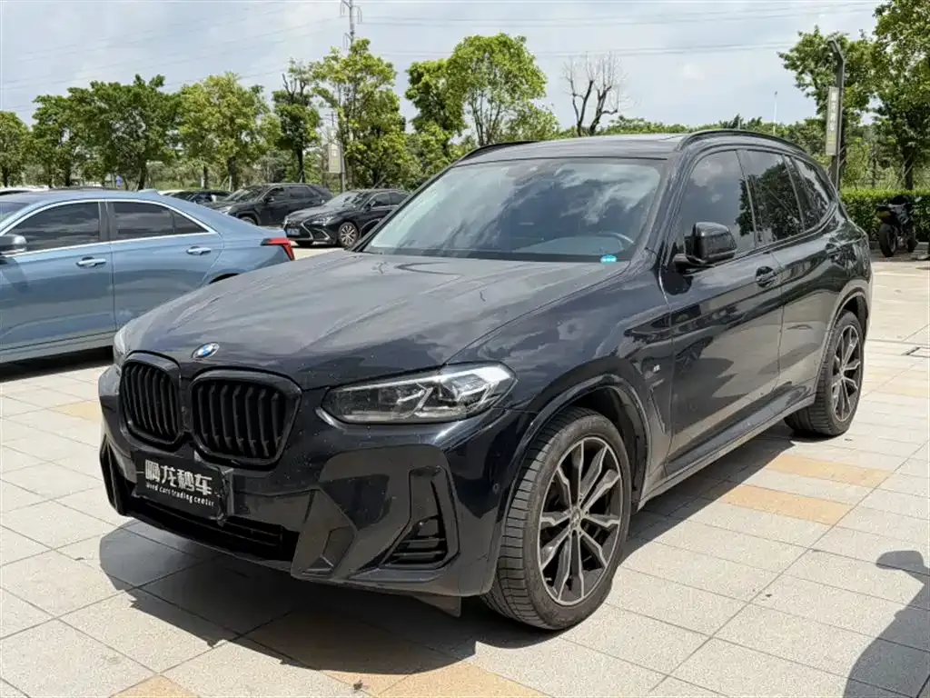 BMW X3 — фото 1