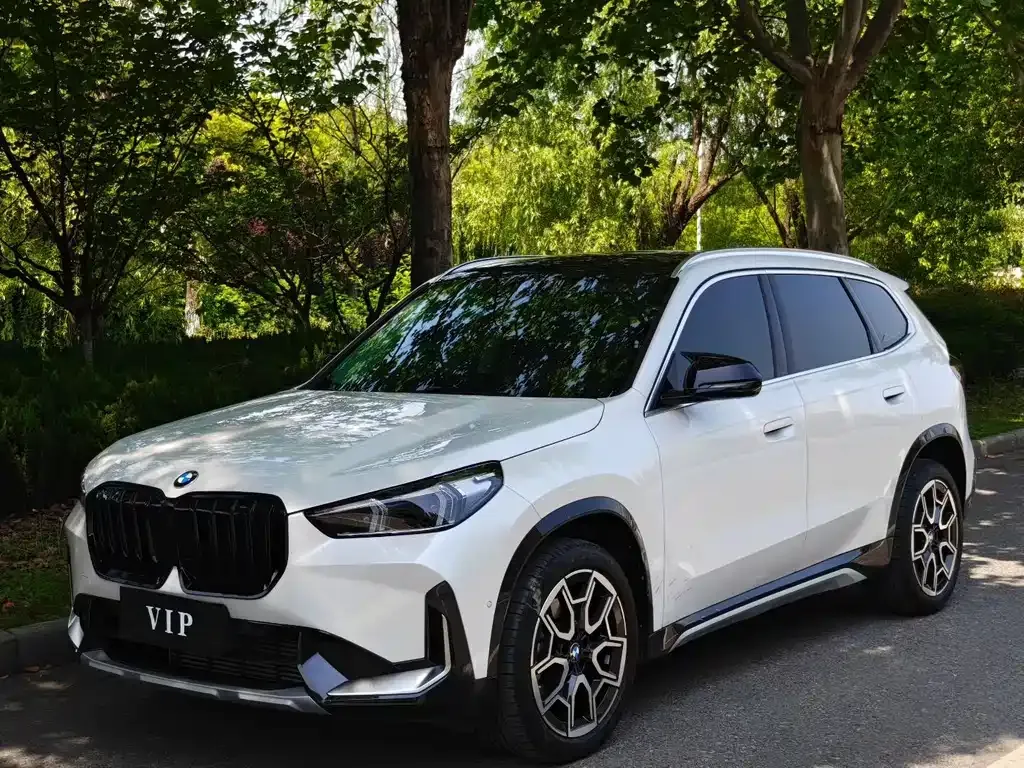 BMW X1 — фото 1