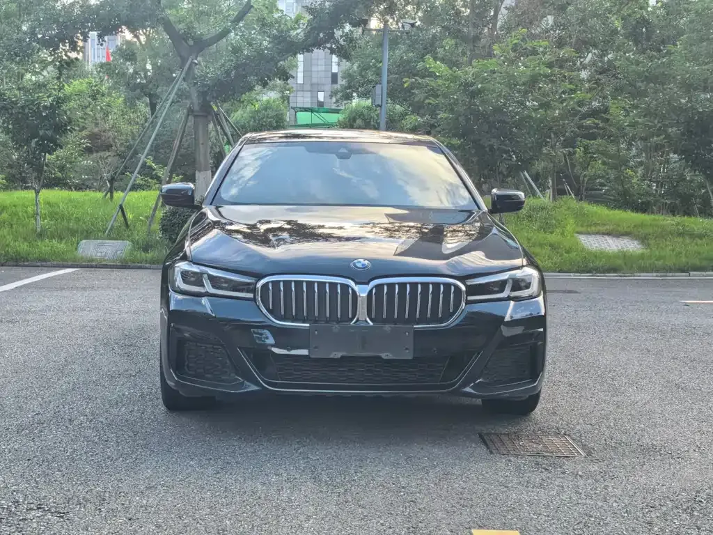 BMW 5 Series 2022 из CN, фото 9