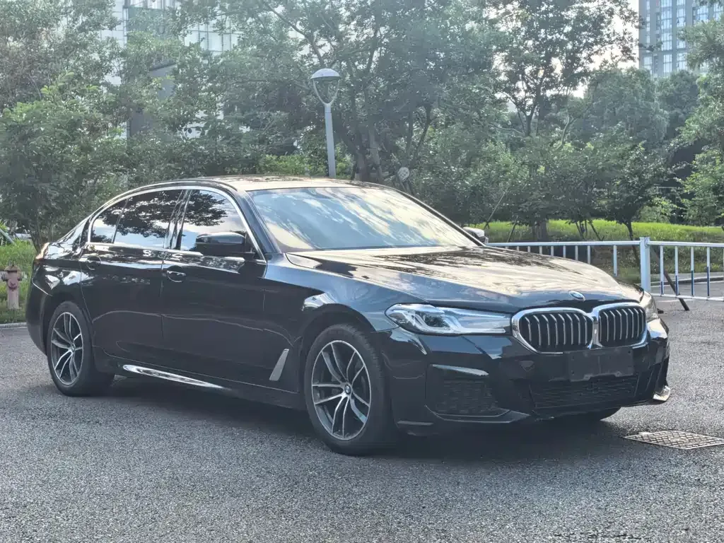 BMW 5 Series 2022 из CN, фото 8