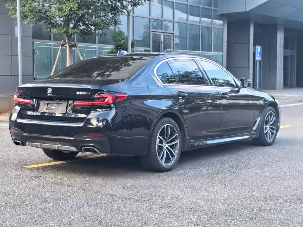 BMW 5 Series 2022 из CN, фото 6