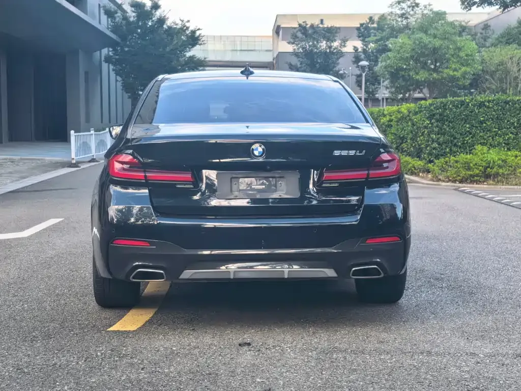 BMW 5 Series 2022 из CN, фото 3