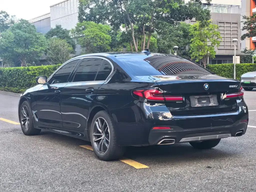 BMW 5 Series 2022 из CN, фото 7