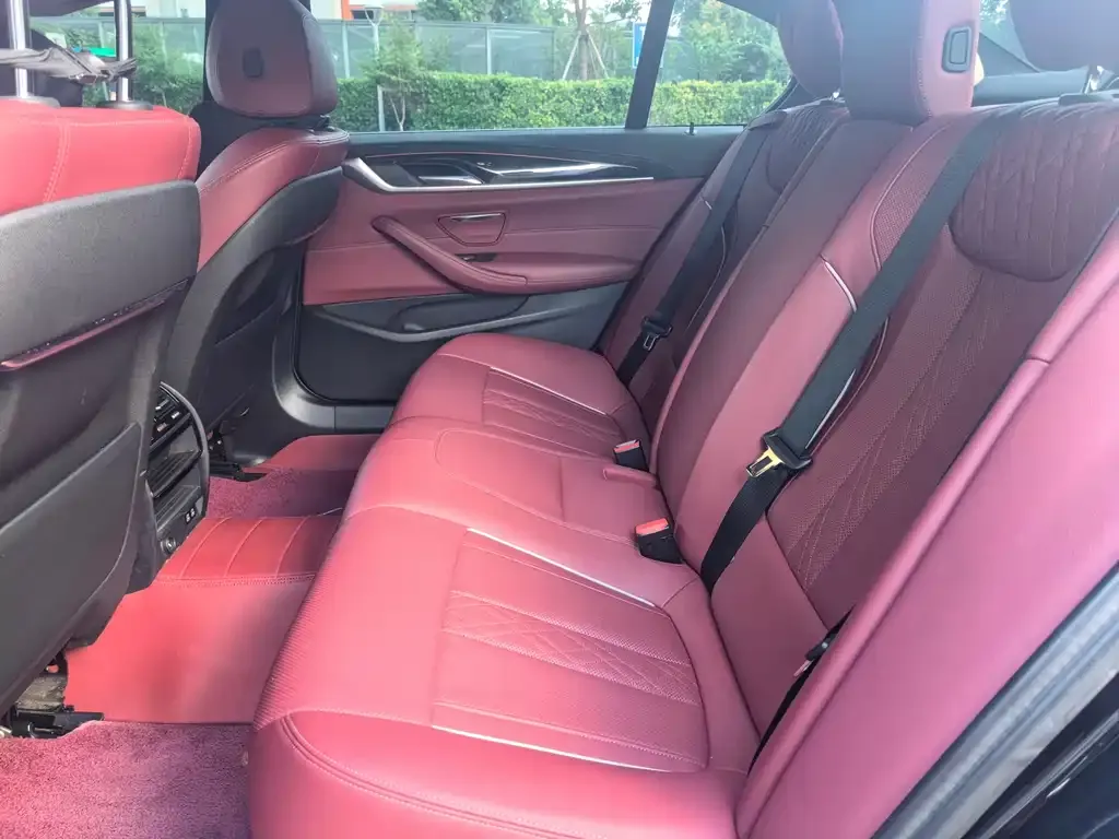 BMW 5 Series 2022 из CN, фото 5