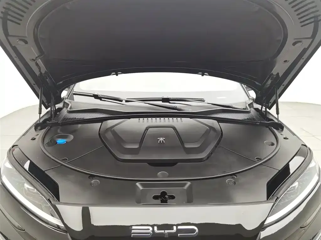 BYD PLUS New Energy — фото 10