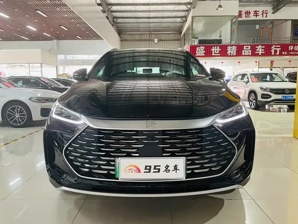 BYD Tang New Energy — фото 5