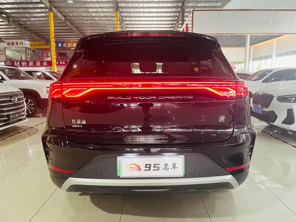BYD Tang New Energy — фото 8