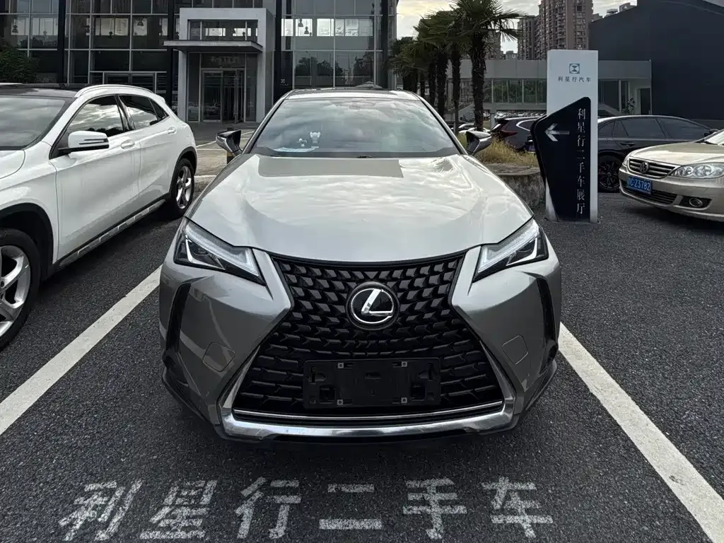 Lexus UX 2022 из CN, фото 6