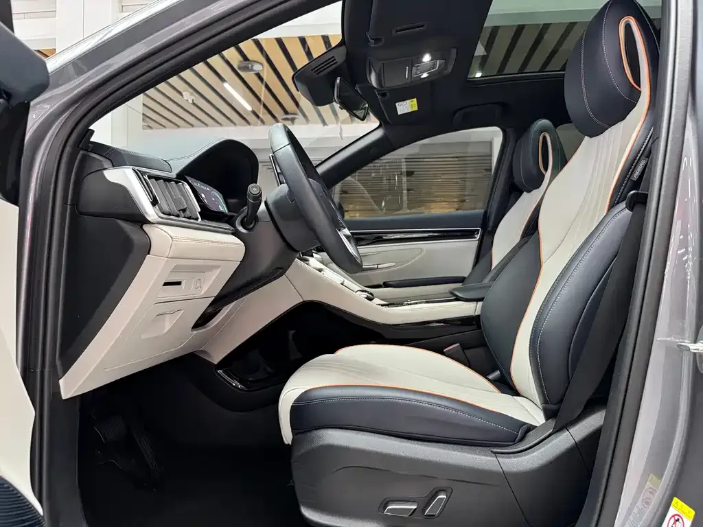 BYD PLUS New Energy — фото 8