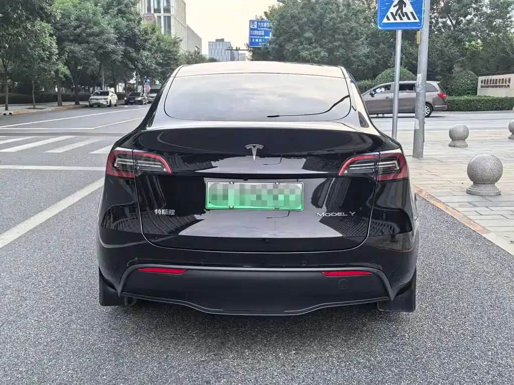 Tesla Model Y — фото 6