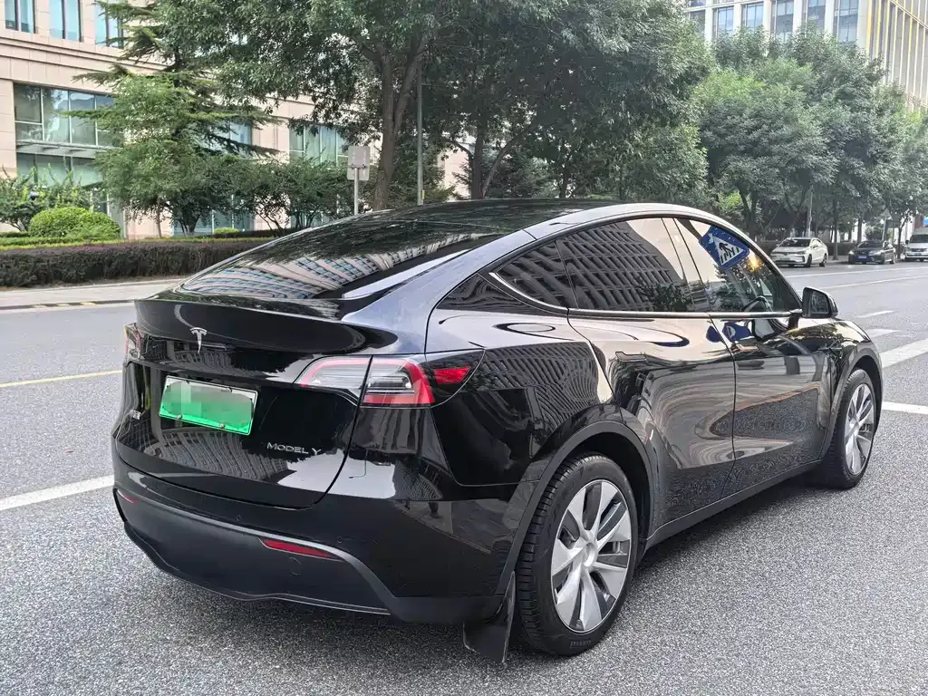 Tesla Model Y — фото 5
