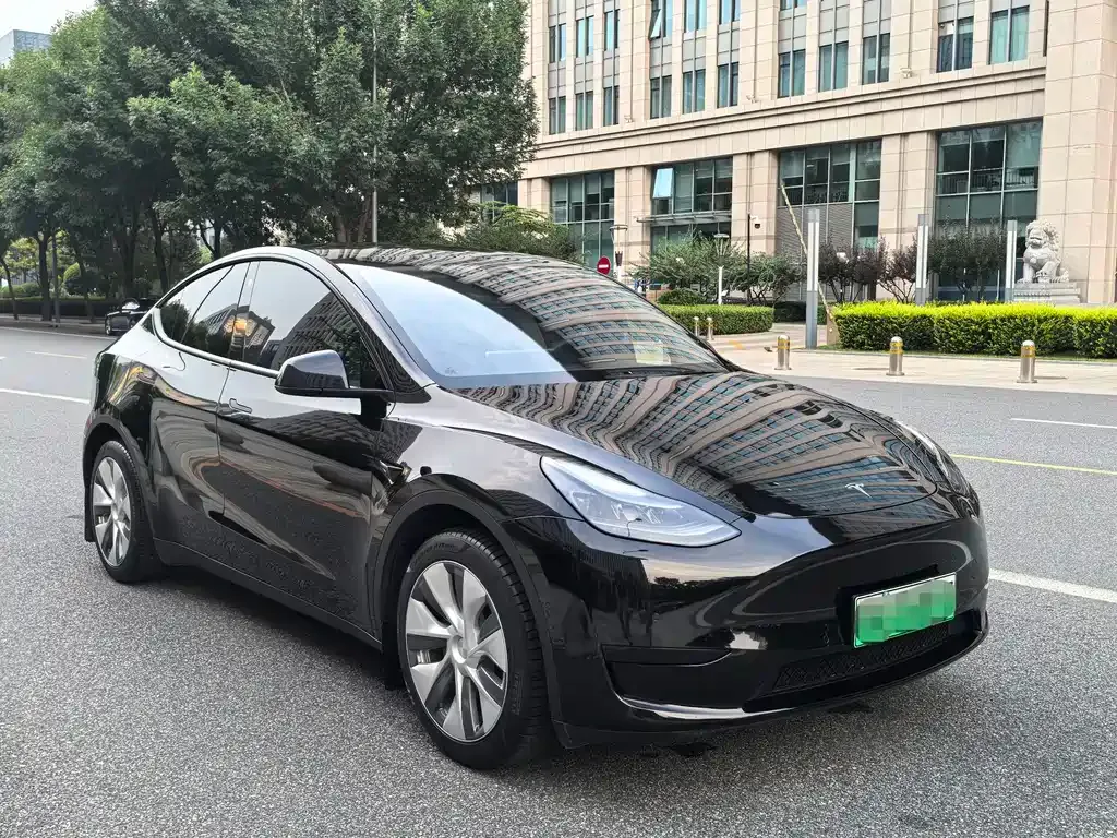 Tesla Model Y — фото 10