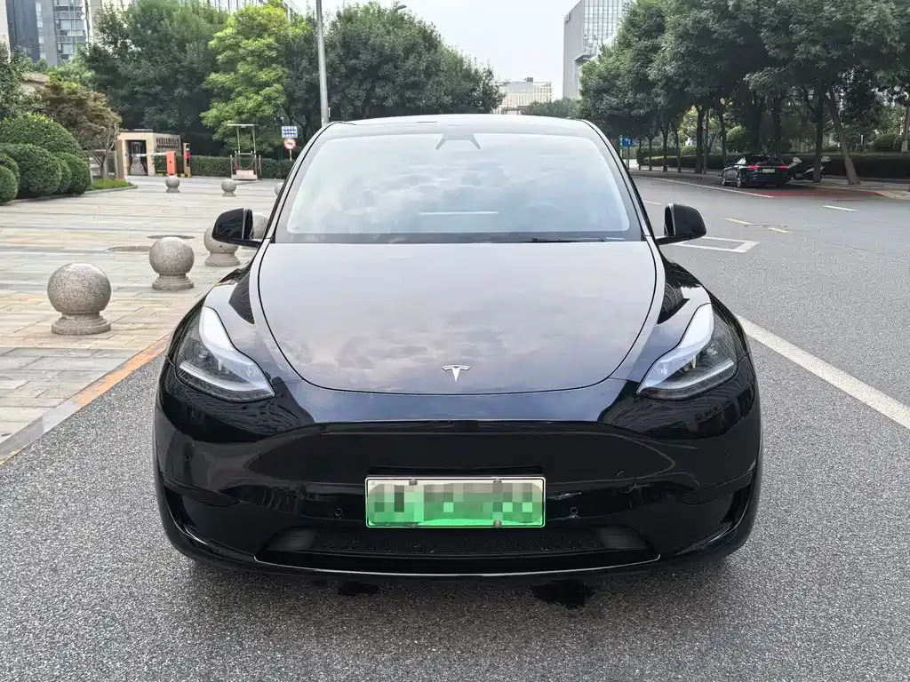 Tesla Model Y — фото 9