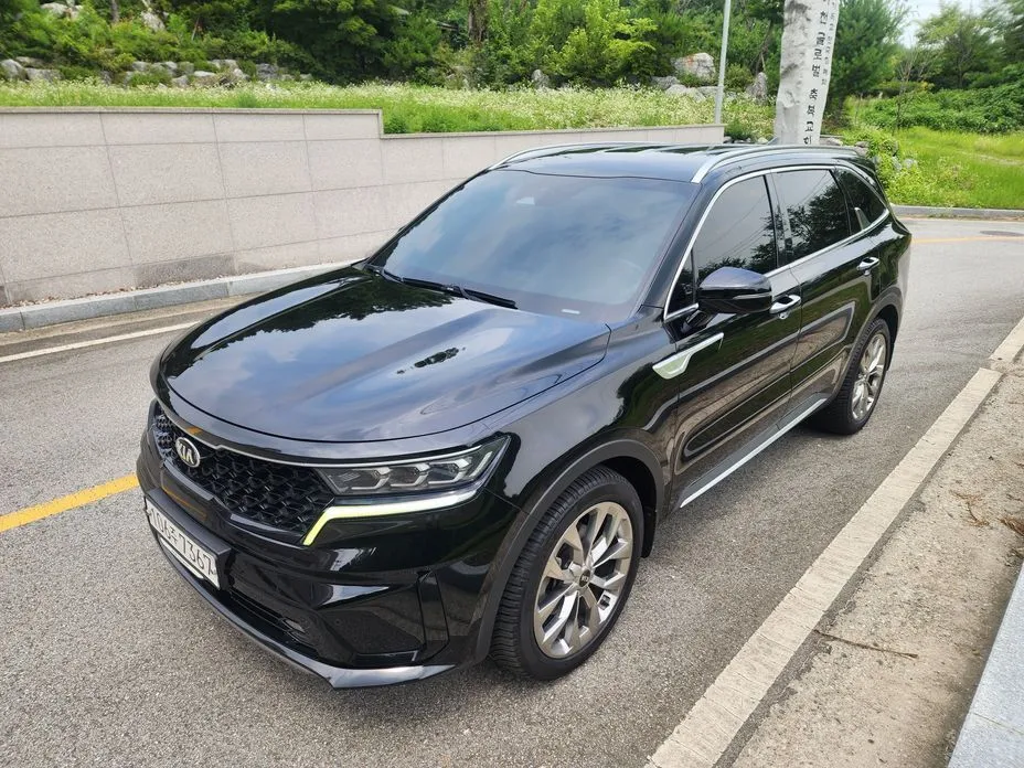 Kia Sorento — фото 10