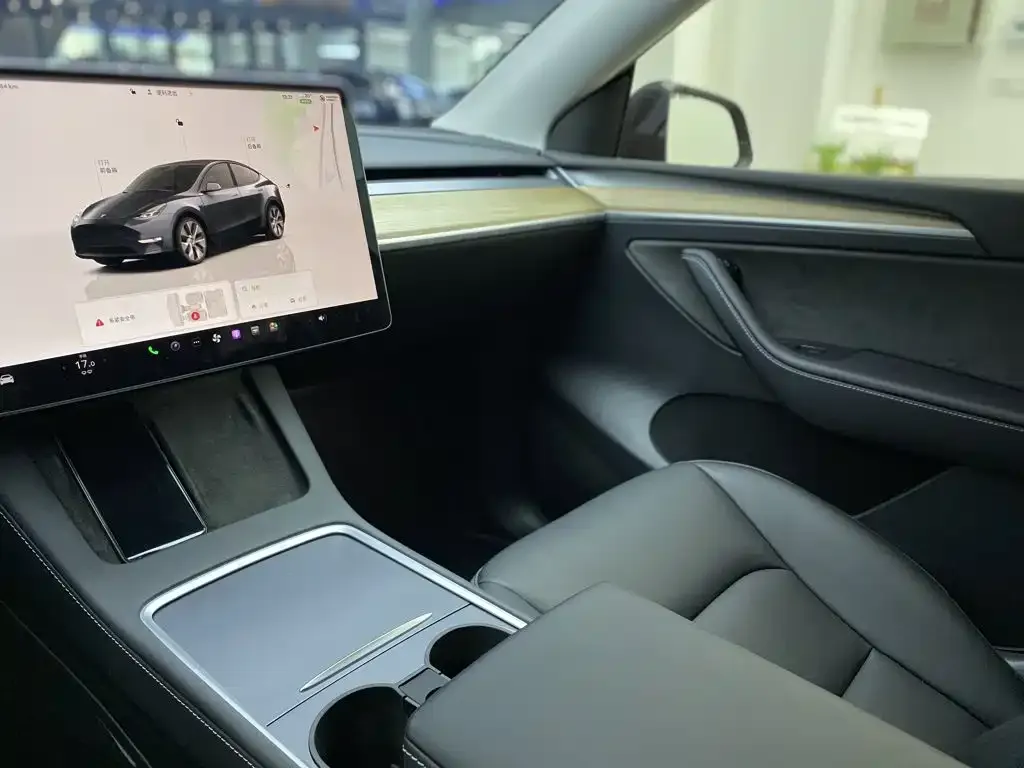 Tesla Model Y — фото 9