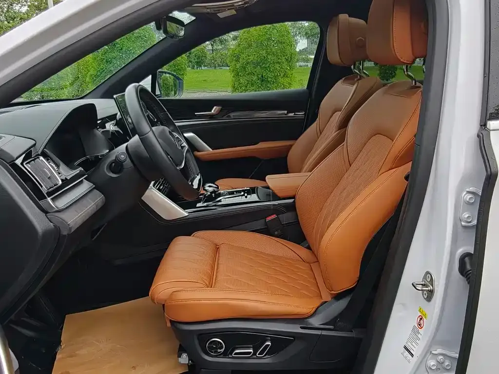 BYD Tang New Energy 2024 из CN, фото 10