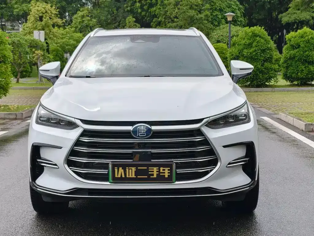 BYD Tang New Energy 2024 из CN, фото 7