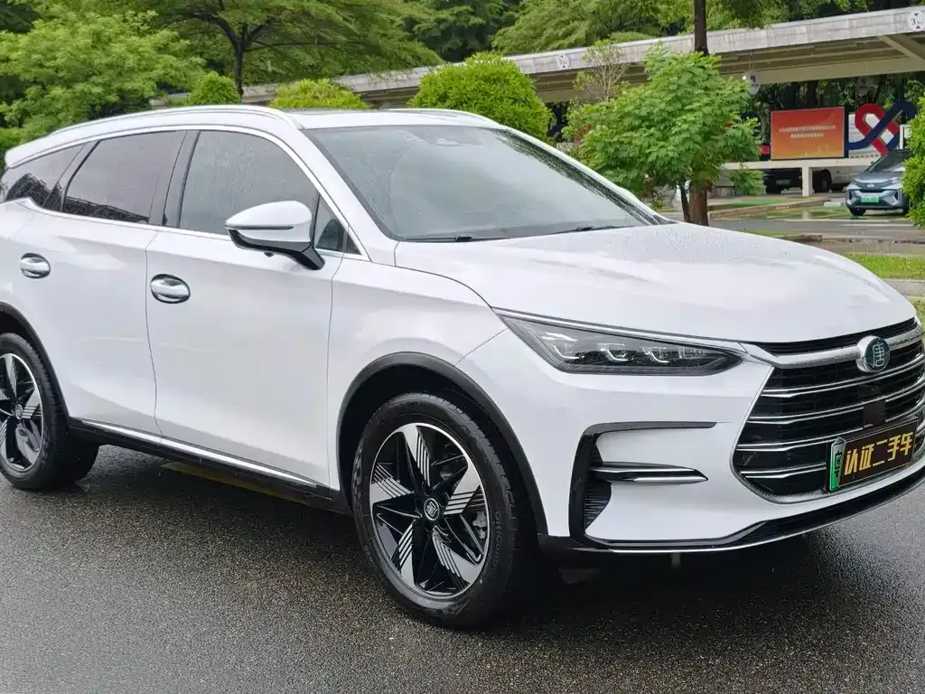 BYD Tang New Energy 2024 из CN, фото 8