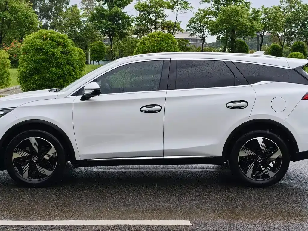 BYD Tang New Energy 2024 из CN, фото 9