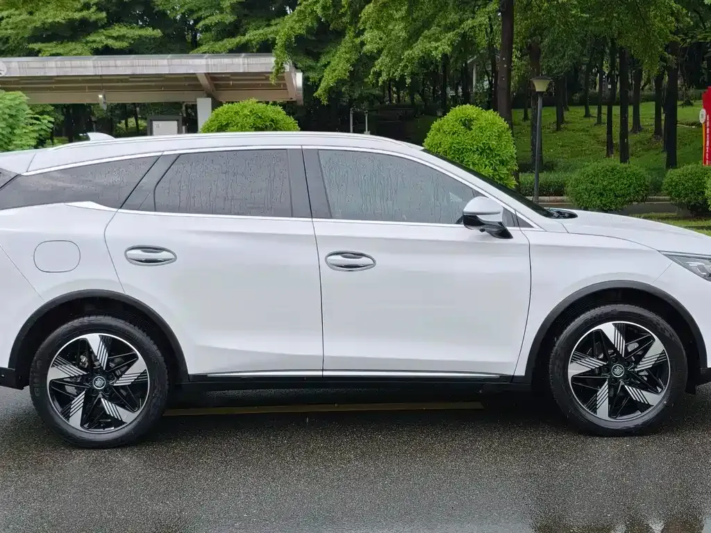 BYD Tang New Energy 2024 из CN, фото 2