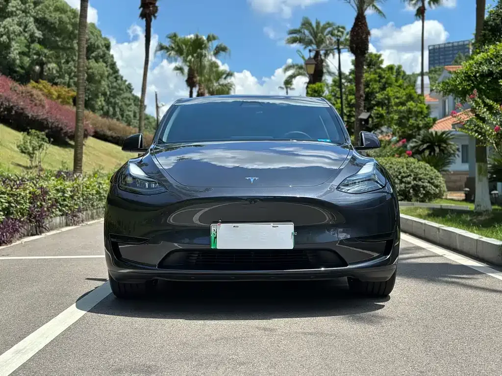 Tesla Model Y — фото 8
