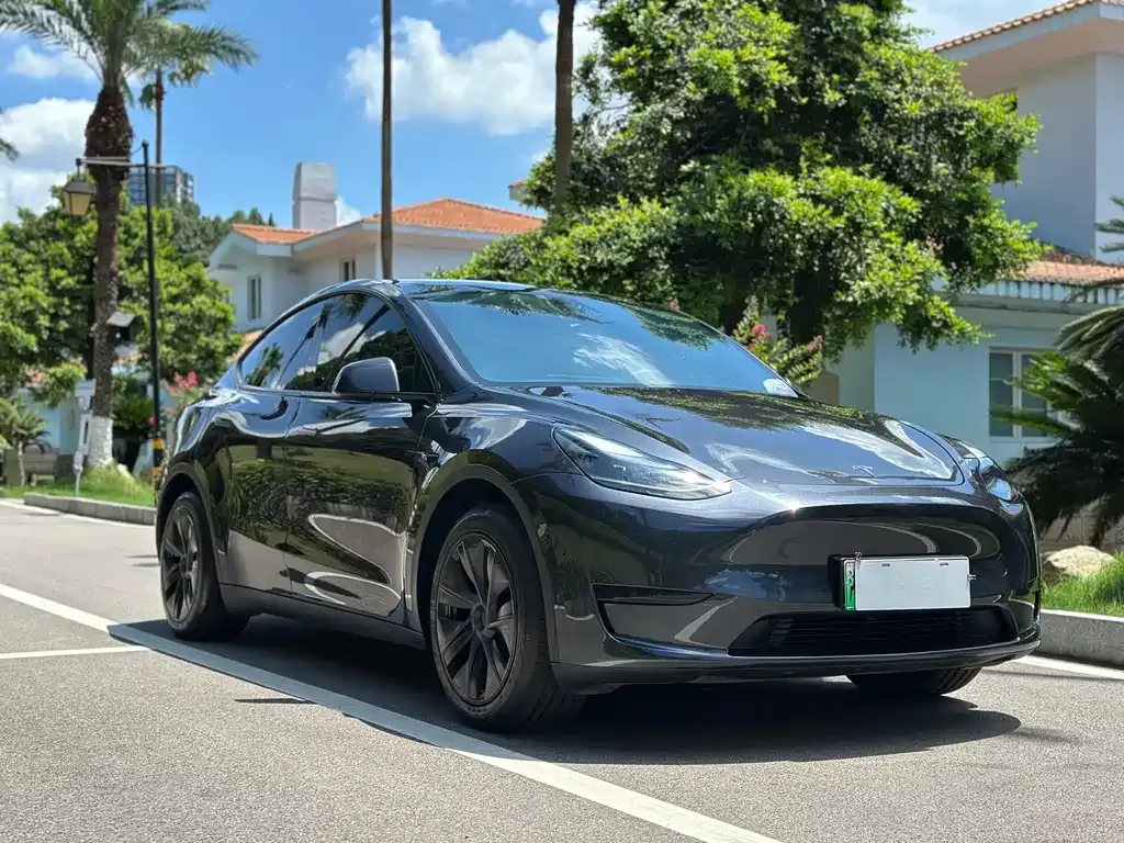 Tesla Model Y — фото 9