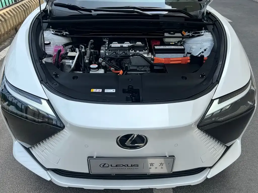 Lexus RZ — фото 9