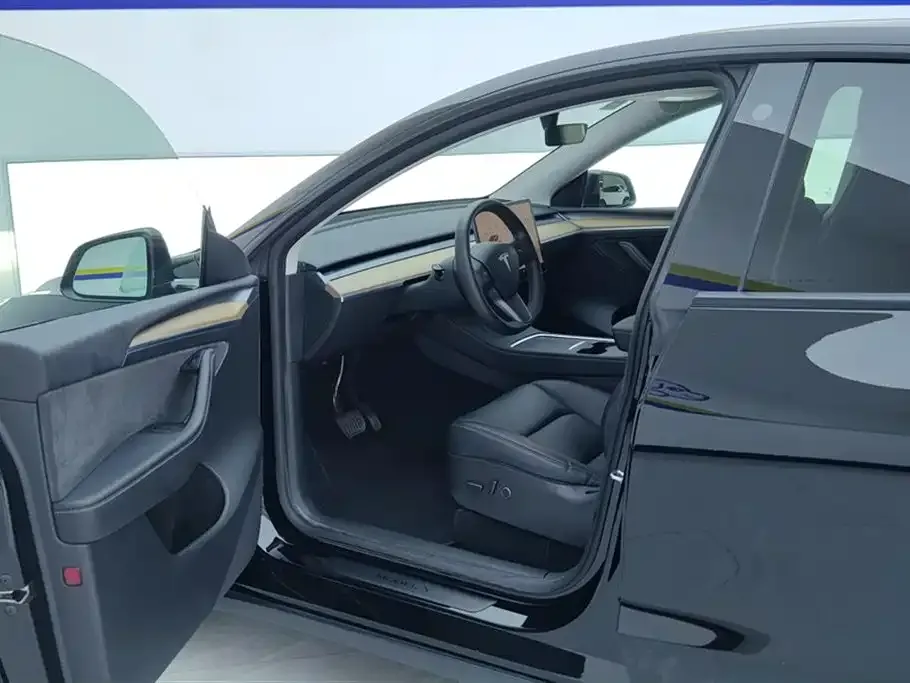 Tesla Model Y — фото 9